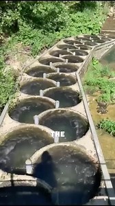 Fish Ladder for Safe Upstream Journey #AquaticLife #FishMigration #RiverConservation #EcoDesign #WildlifeProtection | Satisfying Videos