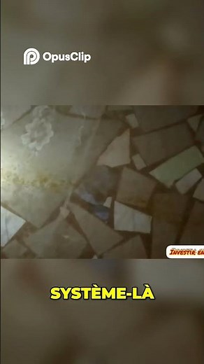 Step by Step 👉 Artificial Insemination of Catfish Like an Expert