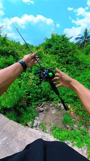 JORAN SWAN KURO ‼️#mancing #chastinggabus #fishing #gabussuper #angler #mancingmania