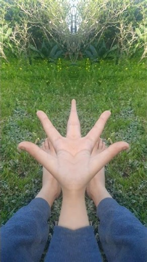 Finger Family Logo Effects (Inspired by Preview 2 effects) In RGB TO GRB