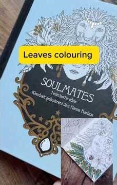 Book „Soulmates“ by Hanna Karlzon.