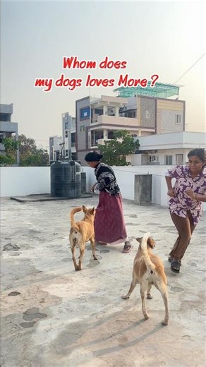 Who Does My Dog Love More? 🐶😂Funny Dog Challenge | Funny Dog Challenge #doggie #dogster #fyp #fypシ