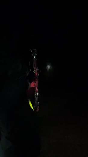 Predator Night Shoot at Waite Park Archery