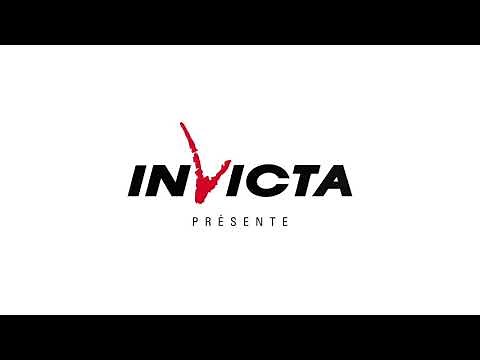 Invicta - Poêle à bois design BRIO - 4K