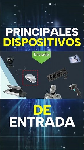 MAIN INPUT DEVICES #HARDWARE