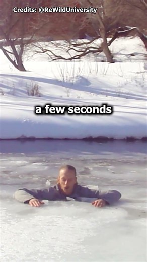 This Can Save You If Ice Breaks (@ReWildUniversity) #shorts