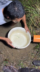 19K views · 129 reactions | Pvc trap for catfish | Mel Olivares | Facebook