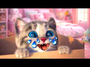 Animated Little Kitten Adventure😻NEW HOME | Preschool & kindergarten learning Cartoon for children's