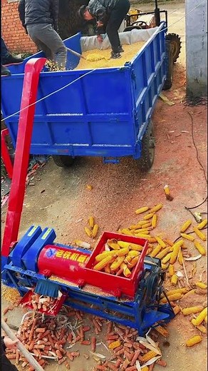 Corn grinding machine to separate the corn from the stalk #shorts