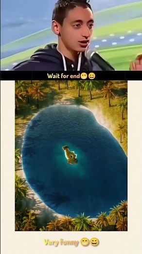 Wait For Funny End 😁😄 #memes #funny #perfectloop