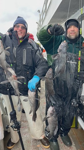 Offshore Giant Sea Bass Fishing ReportSunday Update:We had another exceptional trip today! Every angler onboard landed a boat limit of giant sea bass, with weights reaching up to 6 pounds. Additional catches included porgies, pollock, and ling.Trip Highlights: • Pool Winner: 6-pound giant sea bass • Remarkable Action: Despite a later departure due to Saturday’s high winds, we started fishing just after daybreak, and the action was immediate. • Quick Success: A boat limit of giant sea bass was ac