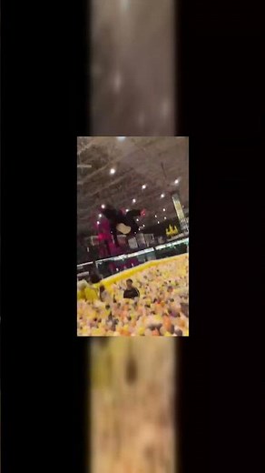 Mastering the Trampoline: Tips for Beginners