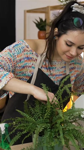 This love month, choose self-care and a calmer way of living. 💖 A clean, cared-for home helps you slow down, breathe easier, and let go of the daily mental load. Follow for stress-free living. Book when you’re ready. 📞 1 918-770-6346 🌐 simplymaid.co | Simply Maid