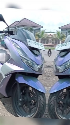 sticker premium wrapp motor