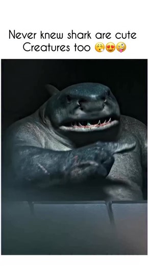 Interestingclips111 on Instagram: "“The Suicide Squad” (2021) is a bold, action-packed superhero film set in the DC Extended Universe (DCEU), written and directed by James Gunn. Serving as both a sequel and soft reboot to the 2016 film Suicide Squad, it delivers a darkly comedic and violent spin on the story of supervillains forced into dangerous government missions. The film follows Amanda Waller (Viola Davis), who assembles a new Task Force X made up of imprisoned criminals from Belle Reve Pen