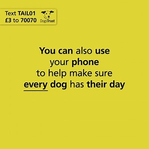 14K views · 390 reactions | We believe that every dog should have their day. To help our dogs, text TAIL01 £3 to 70070 to give £3 today (if you'd like to give more or less you can, up to £10). Thank you. #everydogtheirday https://www.justgiving.com/campaigns/charity/dogstrust/everydogtheirday | Dogs Trust | Facebook