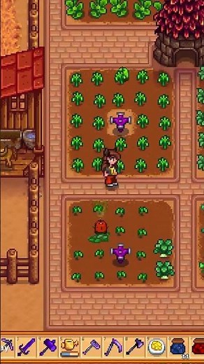 Junimo Huts Part 7: What Junimos Can and Cannot Do
