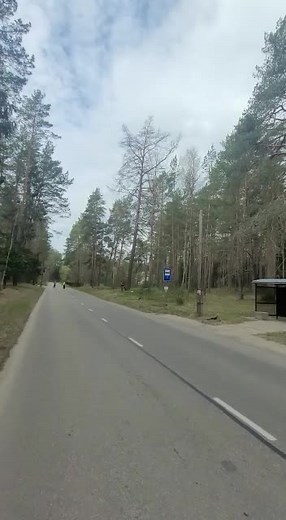 #Работа #Daugavpils #лес #treework #спилдеревьев #Арборист #arborists #