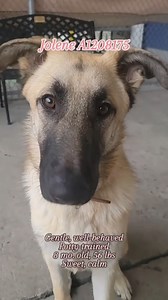 1.7K views · 71 reactions | JOLENE: 1208175 (Brought to you by Maegan...