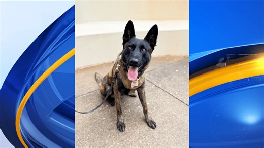 K9 with Alabama Law Enforcement Agency to receive protective vest