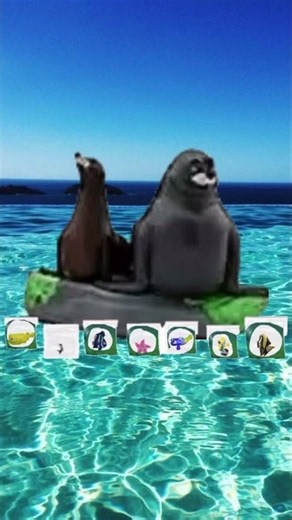 Finding dory 2016 the end credits