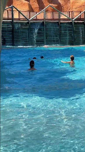 💥Amazing Wave Pool Most Exciting Water Park - Dream Aqua Park Fun⛵️ #waterpark #wavepool