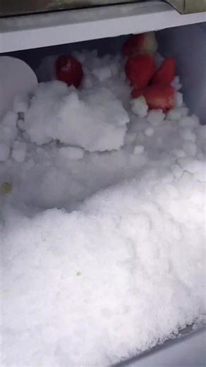 Exploring Ice Eating ASMR: The Sensation of Freezer Frost