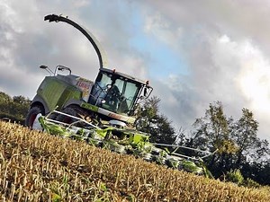 BIG Claas Jaguar 980 At Work !