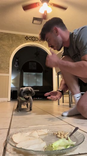 Rock Paper Scissors Trend: Bella's Epic Showdown