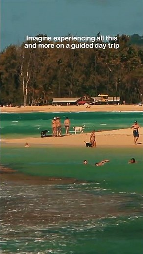 Imagine experiencing all this and more on a guided day trip