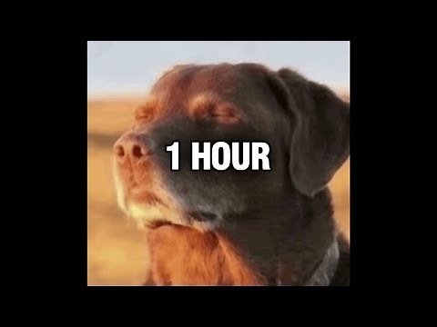 [1 hour] TRAP ROYALTY (EXTENDED)