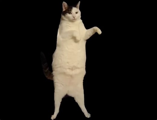The Kitty Cat Dance — Steve Ibsen (2007)