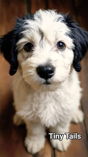 ​🐶 HE'S REAL! The Real Life Snoopy #TinyTails