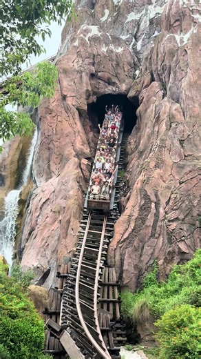 Expedition Everest: Thrilling Roller Coaster at Disney World