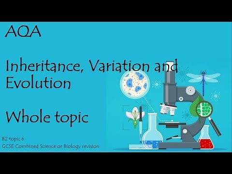 The whole of AQA INHERITANCE, VARIATION and EVOLUTION. 9-1 GCSE Biology combined science for paper 2