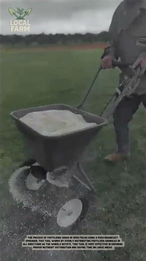 Easy Lawn Care: Spreading Fertilizer with a Wheelbarrow Spreader