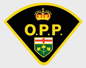 Espanola resident arrested following weapons complaint