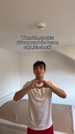 Understanding the Phrase 'Ich Check' in Conversations