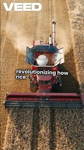 1896-1966. Riichi Satake invents and initiates Japan's first power driven rice milling machine.