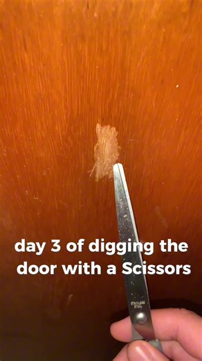 Day 3 of My Scissors Challenge: Digging Through a Door