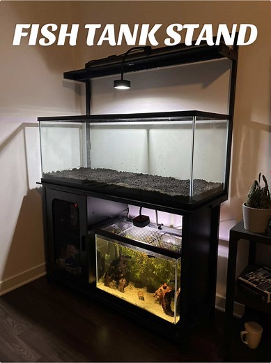 Top Features of a 75 Gallon Fish Tank Stand