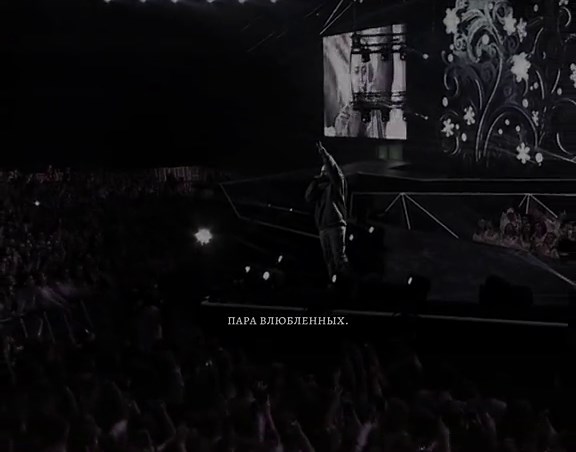 Live Concert Highlights: Performer and Audience Engagement