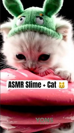 Cute Cat Playing Slime | Relaxing ASMR Sounds 🐾✨