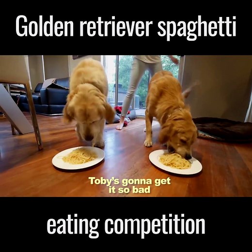 This might be the most adorable eating contest ever 😂😂 | UNILAD