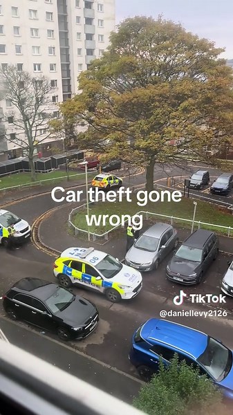 Dundee Police Encounter with Car Theft Incident