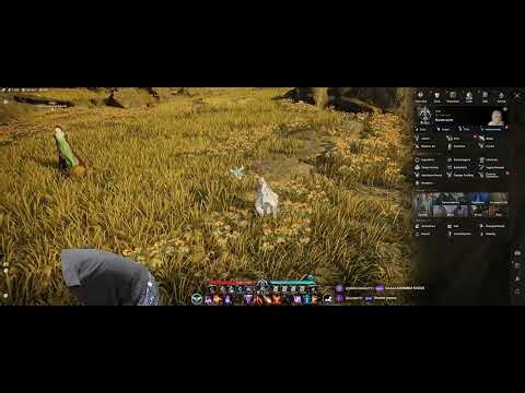 Aion2 2k+ Legendary Bow master KR baba server