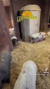 97 reactions · 6 comments | ☀️Good Morning from our hybrid...