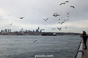 Food Intro Videos, Download The BEST Free 4k Stock Video Footage & Food Intro HD Video Clips