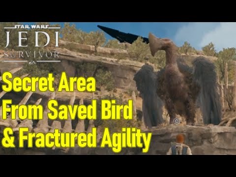 Star Wars Jedi Survivor SECRET AREA from bird you saved, fractured agility location guide