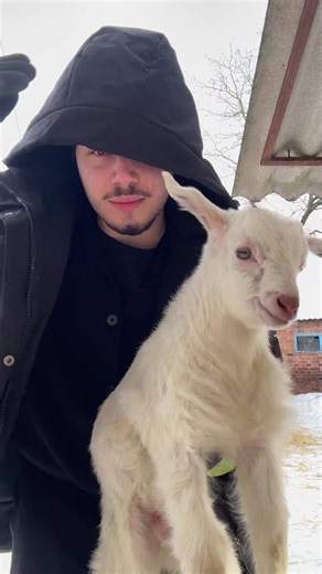 Відео користувача Emre Ay (@ramcosvodka) з композицією «son original - idriss.finito»